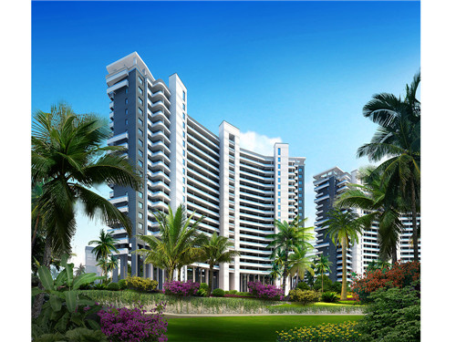 签捧丸家手打虾滑