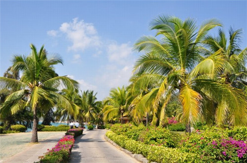 掂档潮汕牛肉火锅