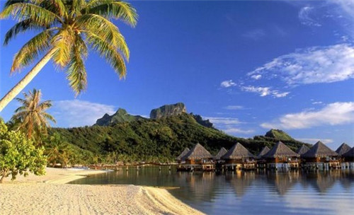 麦香基加盟在周口市开店前景怎么样，在周口市比较知名的汉堡品牌是哪个