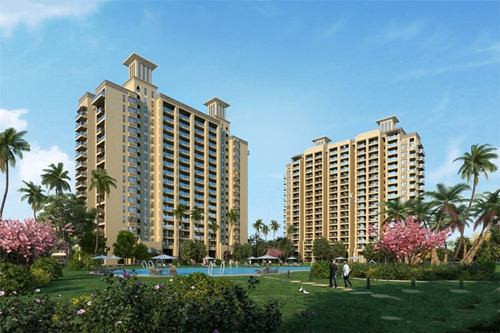 颜值遇上茶在眉山市知名度如何