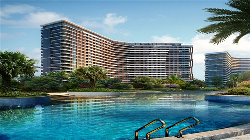 花鸟鱼店创业分享怎么写