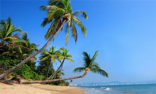 锅子给孩子取名叫什么（锅子给孩子取名叫什么好听）