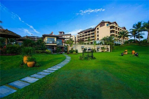 辣炒八爪鱼做法大全（辣炒八爪鱼做法大全图片）