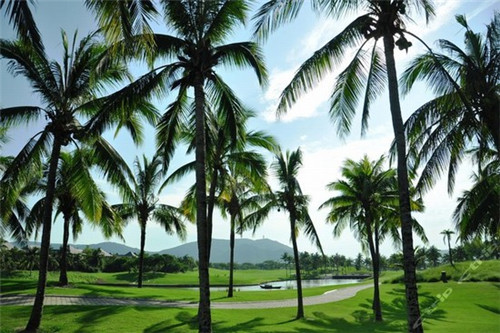 1夙（1岁半宝宝不会说话但什么都懂）