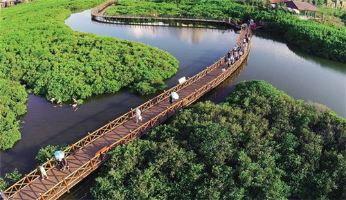 海地十大名菜是什么菜（海地食物）