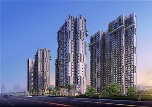 大头菜家常做法教程（大头菜的做法视频）