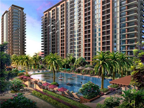 炒油菜面筋家常做法（油菜炒面筋球怎么做好吃）