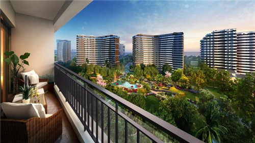 鸡翅尖炒酱油怎么炒（酱鸡翅尖图片）