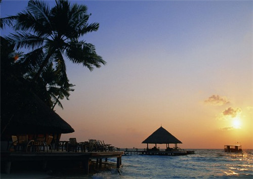 听什么歌能感觉心脏跳的快（听什么歌对心脏好）